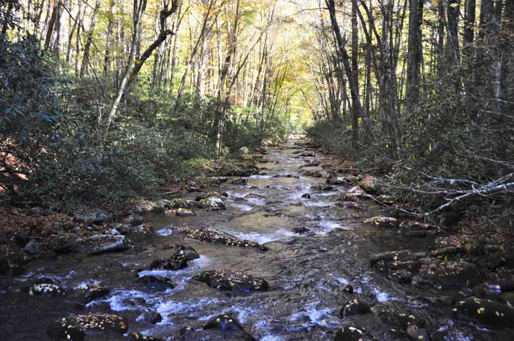 stream